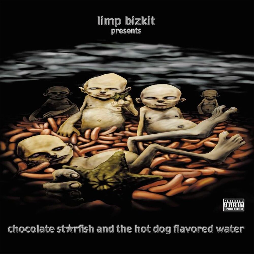 Limp Bizkit - Chocolate Starfish And The Hot Dog Flavored Water  LP LP